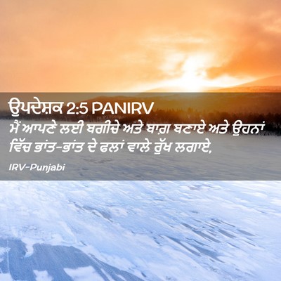 Picture 02 - ਉਪਦੇਸ਼ਕ 2:5 PANIRV - ਮੈਂ ਆਪਣੇ ਲਈ ਬਗੀਚੇ - Bible Verse Picture