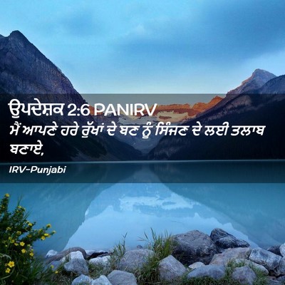 Picture 02 - ਉਪਦੇਸ਼ਕ 2:6 PANIRV - ਮੈਂ ਆਪਣੇ ਹਰੇ - Bible Verse Picture