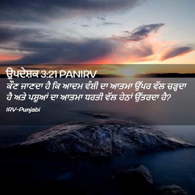 Picture 02 - ਉਪਦੇਸ਼ਕ 3:21 PANIRV - ਕੌਣ ਜਾਣਦਾ ਹੈ ਕਿ ਆਦਮ - Bible Verse Picture
