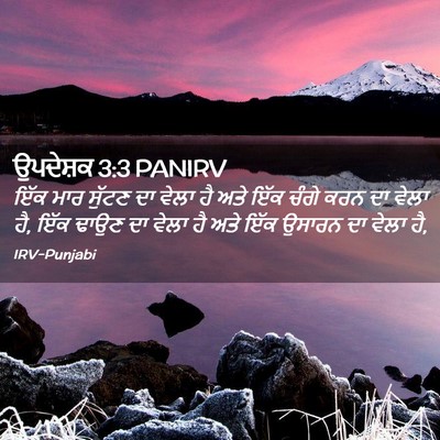 Picture 02 - ਉਪਦੇਸ਼ਕ 3:3 PANIRV - ਇੱਕ ਮਾਰ ਸੁੱਟਣ ਦਾ - Bible Verse Picture