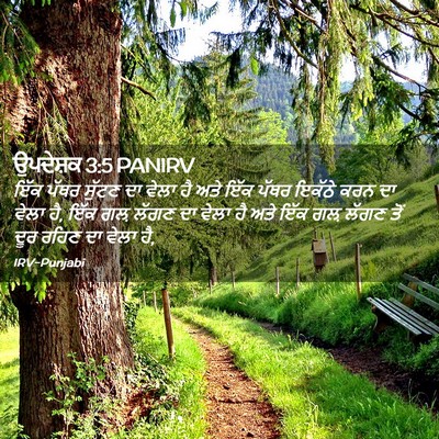 Picture 02 - ਉਪਦੇਸ਼ਕ 3:5 PANIRV - ਇੱਕ ਪੱਥਰ ਸੁੱਟਣ ਦਾ - Bible Verse Picture