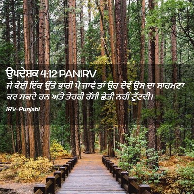 Picture 02 - ਉਪਦੇਸ਼ਕ 4:12 PANIRV - ਜੇ ਕੋਈ ਇੱਕ ਉੱਤੇ - Bible Verse Picture