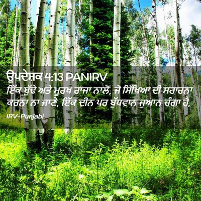 Picture 02 - ਉਪਦੇਸ਼ਕ 4:13 PANIRV - ਇੱਕ ਬੁੱਢੇ ਅਤੇ ਮੂਰਖ - Bible Verse Picture