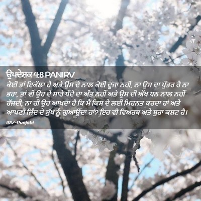 Picture 02 - ਉਪਦੇਸ਼ਕ 4:8 PANIRV - ਕੋਈ ਤਾਂ ਇਕੱਲਾ ਹੈ - Bible Verse Picture