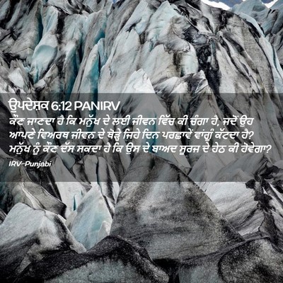 Picture 02 - ਉਪਦੇਸ਼ਕ 6:12 PANIRV - ਕੌਣ ਜਾਣਦਾ ਹੈ ਕਿ - Bible Verse Picture