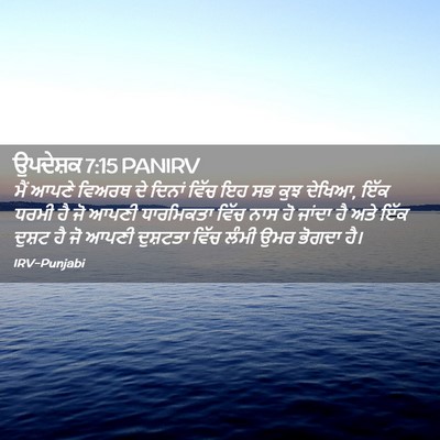 Picture 02 - ਉਪਦੇਸ਼ਕ 7:15 PANIRV - ਮੈਂ ਆਪਣੇ ਵਿਅਰਥ ਦੇ - Bible Verse Picture