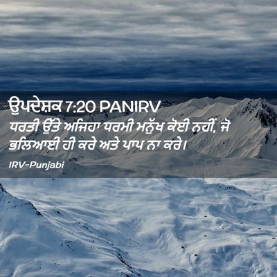 Picture 02 - ਉਪਦੇਸ਼ਕ 7:20 PANIRV - ਧਰਤੀ ਉੱਤੇ ਅਜਿਹਾ - Bible Verse Picture