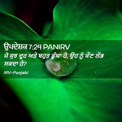 Picture 02 - ਉਪਦੇਸ਼ਕ 7:24 PANIRV - ਜੋ ਕੁਝ ਦੂਰ ਅਤੇ ਬਹੁਤ - Bible Verse Picture