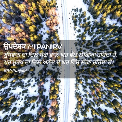 Picture 02 - ਉਪਦੇਸ਼ਕ 7:4 PANIRV - ਬੁੱਧਵਾਨ ਦਾ ਦਿਲ ਸੋਗ - Bible Verse Picture