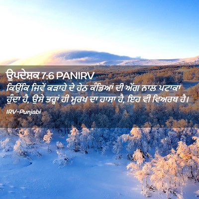 Picture 02 - ਉਪਦੇਸ਼ਕ 7:6 PANIRV - ਕਿਉਂਕਿ ਜਿਵੇਂ - Bible Verse Picture