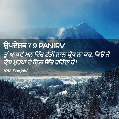 Picture 02 - ਉਪਦੇਸ਼ਕ 7:9 PANIRV - ਤੂੰ ਆਪਣੇ ਮਨ ਵਿੱਚ - Bible Verse Picture