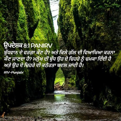 Picture 02 - ਉਪਦੇਸ਼ਕ 8:1 PANIRV - ਬੁੱਧਵਾਨ ਦੇ ਵਰਗਾ - Bible Verse Picture