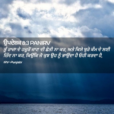 Picture 02 - ਉਪਦੇਸ਼ਕ 8:3 PANIRV - ਤੂੰ ਰਾਜਾ ਦੇ - Bible Verse Picture
