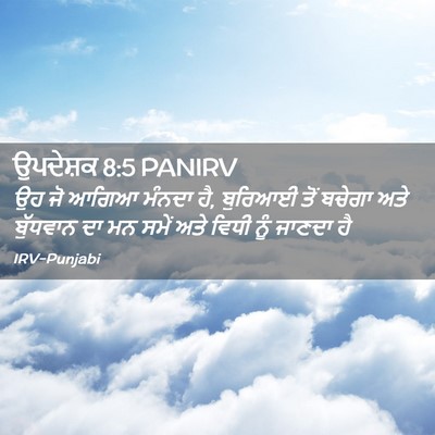 Picture 02 - ਉਪਦੇਸ਼ਕ 8:5 PANIRV - ਉਹ ਜੋ ਆਗਿਆ ਮੰਨਦਾ - Bible Verse Picture