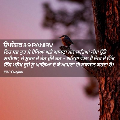 Picture 02 - ਉਪਦੇਸ਼ਕ 8:9 PANIRV - ਇਹ ਸਭ ਕੁਝ ਮੈਂ ਦੇਖਿਆ - Bible Verse Picture