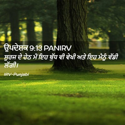 Picture 02 - ਉਪਦੇਸ਼ਕ 9:13 PANIRV - ਸੂਰਜ ਦੇ ਹੇਠ ਮੈਂ ਇਹ - Bible Verse Picture
