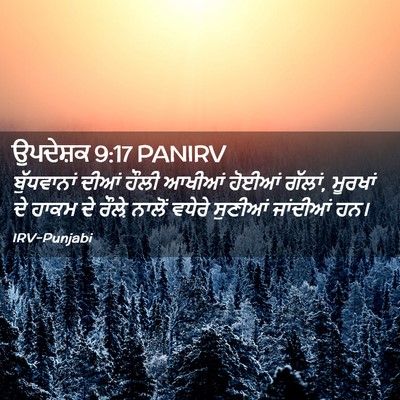 Picture 02 - ਉਪਦੇਸ਼ਕ 9:17 PANIRV - ਬੁੱਧਵਾਨਾਂ ਦੀਆਂ - Bible Verse Picture