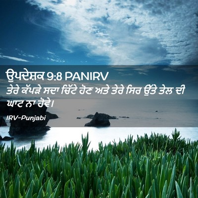 Picture 02 - ਉਪਦੇਸ਼ਕ 9:8 PANIRV - ਤੇਰੇ ਕੱਪੜੇ ਸਦਾ - Bible Verse Picture