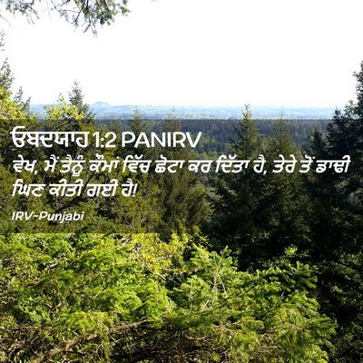 Picture 02 - ਓਬਦਯਾਹ 1:2 PANIRV - ਵੇਖ, ਮੈਂ ਤੈਨੂੰ - Bible Verse Picture