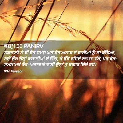 Picture 02 - ਕਜ਼ਾૃ 1:33 PANIRV - ਨਫ਼ਤਾਲੀ ਨੇ ਵੀ ਬੈਤ - Bible Verse Picture