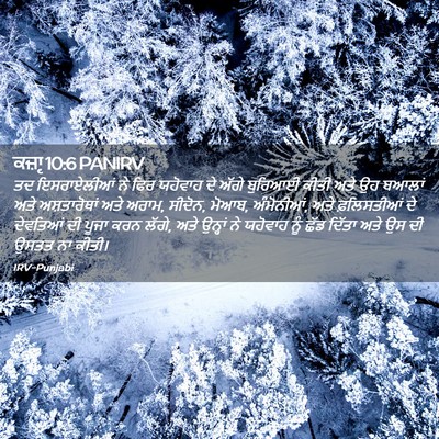 Picture 02 - ਕਜ਼ਾૃ 10:6 PANIRV - ਤਦ ਇਸਰਾਏਲੀਆਂ ਨੇ - Bible Verse Picture