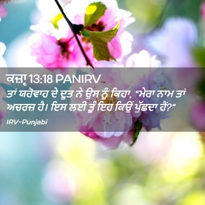 Picture 02 - ਕਜ਼ਾૃ 13:18 PANIRV - ਤਾਂ ਯਹੋਵਾਹ ਦੇ ਦੂਤ - Bible Verse Picture