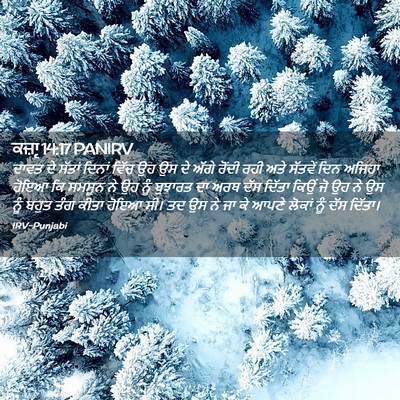 Picture 02 - ਕਜ਼ਾૃ 14:17 PANIRV - ਦਾਵਤ ਦੇ ਸੱਤਾਂ - Bible Verse Picture