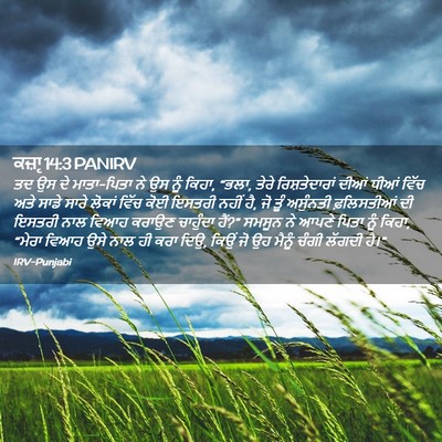 Picture 02 - ਕਜ਼ਾૃ 14:3 PANIRV - ਤਦ ਉਸ ਦੇ ਮਾਤਾ-ਪਿਤਾ - Bible Verse Picture