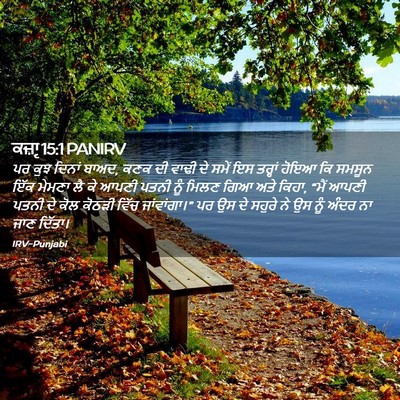 Picture 02 - ਕਜ਼ਾૃ 15:1 PANIRV - ਪਰ ਕੁਝ ਦਿਨਾਂ ਬਾਅਦ, - Bible Verse Picture