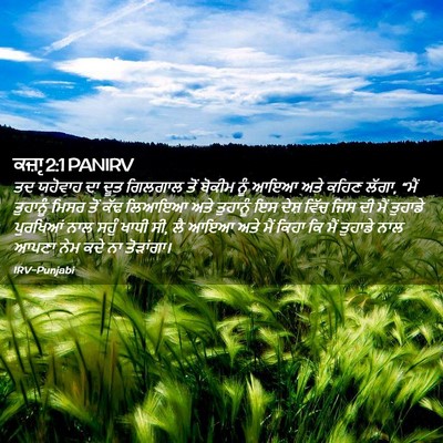 Picture 02 - ਕਜ਼ਾૃ 2:1 PANIRV - ਤਦ ਯਹੋਵਾਹ ਦਾ ਦੂਤ - Bible Verse Picture