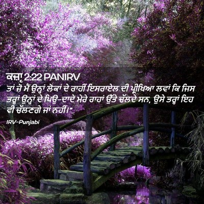 Picture 02 - ਕਜ਼ਾૃ 2:22 PANIRV - ਤਾਂ ਜੋ ਮੈਂ ਉਨ੍ਹਾਂ - Bible Verse Picture