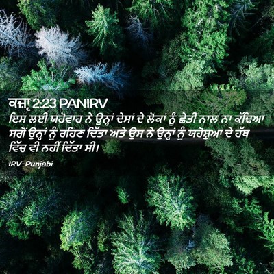 Picture 02 - ਕਜ਼ਾૃ 2:23 PANIRV - ਇਸ ਲਈ ਯਹੋਵਾਹ ਨੇ - Bible Verse Picture