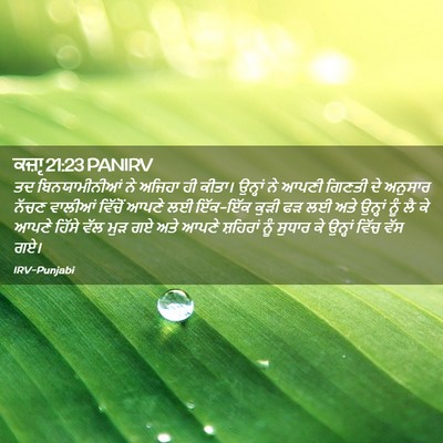 Picture 02 - ਕਜ਼ਾૃ 21:23 PANIRV - ਤਦ ਬਿਨਯਾਮੀਨੀਆਂ ਨੇ - Bible Verse Picture
