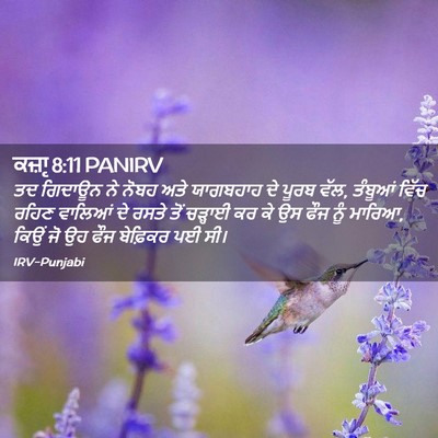 Picture 02 - ਕਜ਼ਾૃ 8:11 PANIRV - ਤਦ ਗਿਦਾਊਨ ਨੇ ਨੋਬਹ - Bible Verse Picture
