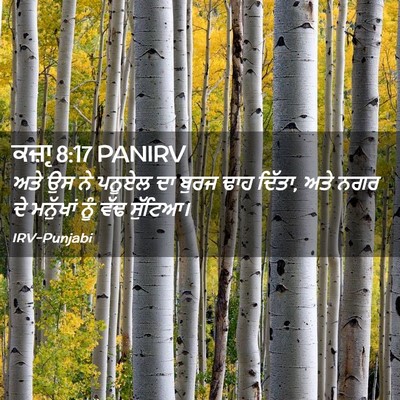 Picture 02 - ਕਜ਼ਾૃ 8:17 PANIRV - ਅਤੇ ਉਸ ਨੇ ਪਨੂਏਲ ਦਾ - Bible Verse Picture