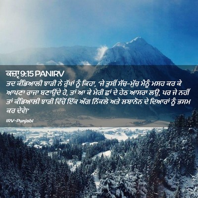 Picture 02 - ਕਜ਼ਾૃ 9:15 PANIRV - ਤਦ ਕੰਡਿਆਲੀ ਝਾੜੀ ਨੇ - Bible Verse Picture