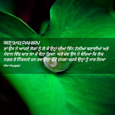Picture 02 - ਕਜ਼ਾૃ 9:43 PANIRV - ਤਾਂ ਉਸ ਨੇ ਆਪਣੇ - Bible Verse Picture