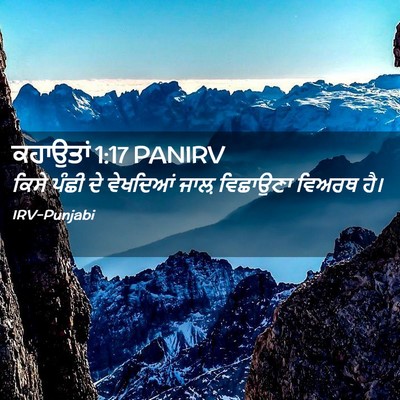 Picture 02 - ਕਹਾਉਤਾਂ 1:17 PANIRV - ਕਿਸੇ ਪੰਛੀ ਦੇ - Bible Verse Picture