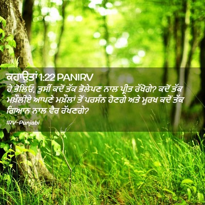 Picture 02 - ਕਹਾਉਤਾਂ 1:22 PANIRV - ਹੇ ਭੋਲਿਓ, ਤੁਸੀਂ - Bible Verse Picture
