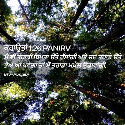Picture 02 - ਕਹਾਉਤਾਂ 1:26 PANIRV - ਮੈਂ ਵੀ ਤੁਹਾਡੀ - Bible Verse Picture