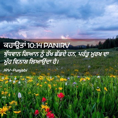 Picture 02 - ਕਹਾਉਤਾਂ 10:14 PANIRV - ਬੁੱਧਵਾਨ ਗਿਆਨ ਨੂੰ - Bible Verse Picture