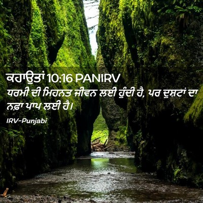 Picture 02 - ਕਹਾਉਤਾਂ 10:16 PANIRV - ਧਰਮੀ ਦੀ ਮਿਹਨਤ ਜੀਵਨ - Bible Verse Picture