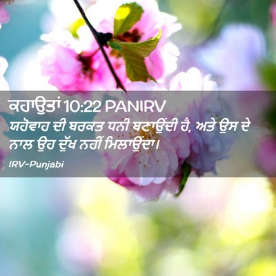 Picture 02 - ਕਹਾਉਤਾਂ 10:22 PANIRV - ਯਹੋਵਾਹ ਦੀ ਬਰਕਤ ਧਨੀ - Bible Verse Picture