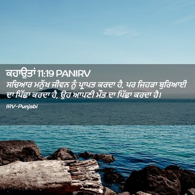 Picture 02 - ਕਹਾਉਤਾਂ 11:19 PANIRV - ਸਚਿਆਰ ਮਨੁੱਖ ਜੀਵਨ - Bible Verse Picture