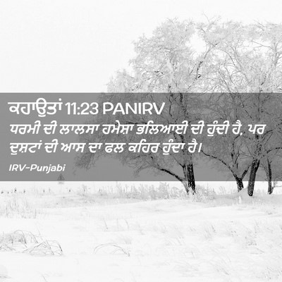 Picture 02 - ਕਹਾਉਤਾਂ 11:23 PANIRV - ਧਰਮੀ ਦੀ ਲਾਲਸਾ - Bible Verse Picture