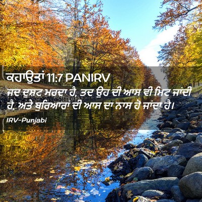 Picture 02 - ਕਹਾਉਤਾਂ 11:7 PANIRV - ਜਦ ਦੁਸ਼ਟ ਮਰਦਾ ਹੈ, - Bible Verse Picture