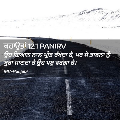 Picture 02 - ਕਹਾਉਤਾਂ 12:1 PANIRV - ਉਹ ਗਿਆਨ ਨਾਲ ਪ੍ਰੀਤ - Bible Verse Picture