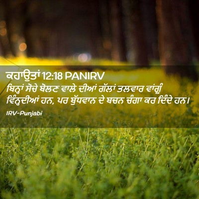 Picture 02 - ਕਹਾਉਤਾਂ 12:18 PANIRV - ਬਿਨ੍ਹਾਂ ਸੋਚੇ ਬੋਲਣ - Bible Verse Picture