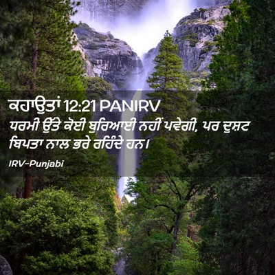 Picture 02 - ਕਹਾਉਤਾਂ 12:21 PANIRV - ਧਰਮੀ ਉੱਤੇ ਕੋਈ - Bible Verse Picture