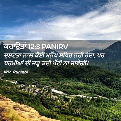 Picture 02 - ਕਹਾਉਤਾਂ 12:3 PANIRV - ਦੁਸ਼ਟਤਾ ਨਾਲ ਕੋਈ - Bible Verse Picture